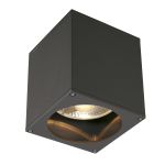 SLV Big Theo Techo Foco Aluminium Antracita | Al Aire Libre - IP44 - Apta para 1x GU10 Max. 75W - Regulable